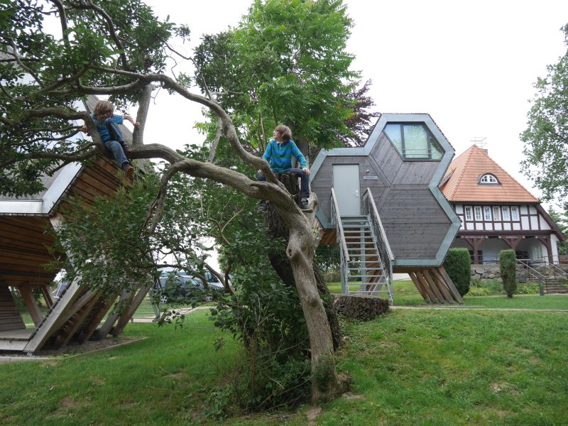 Jugendherberge Beckerwitz, Schlafen im Baumhaus