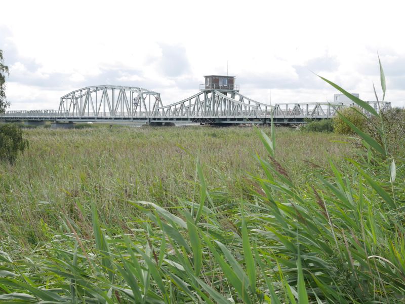 Meinungenbrücke, Fischland-Darß-Zingst mit Kindern