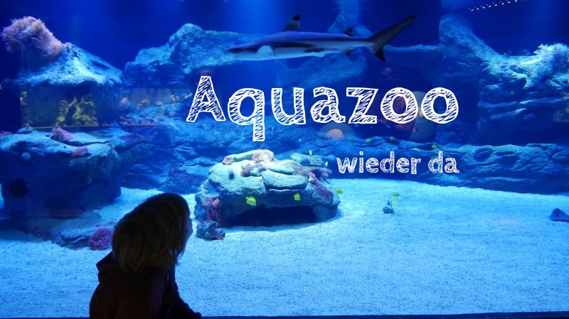 Aquazoo Löbbecke Museum Düsseldorf mit Kindern