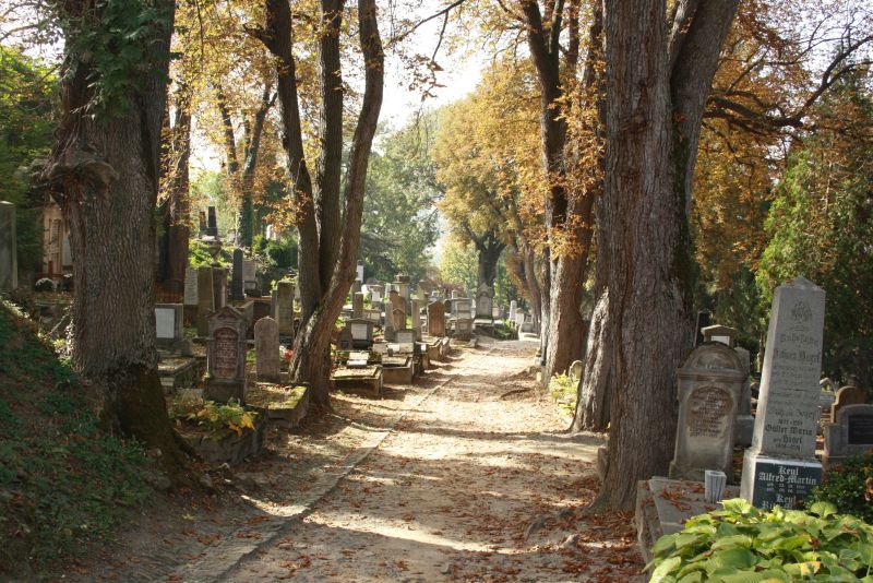 Rumänien Sighisoara Friedhof