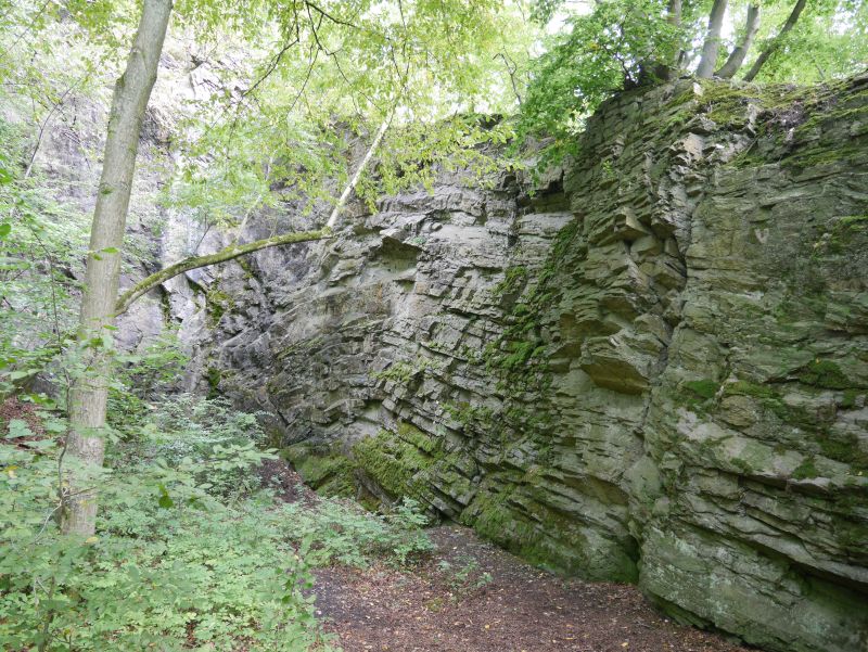 Neanderland, Neandertal