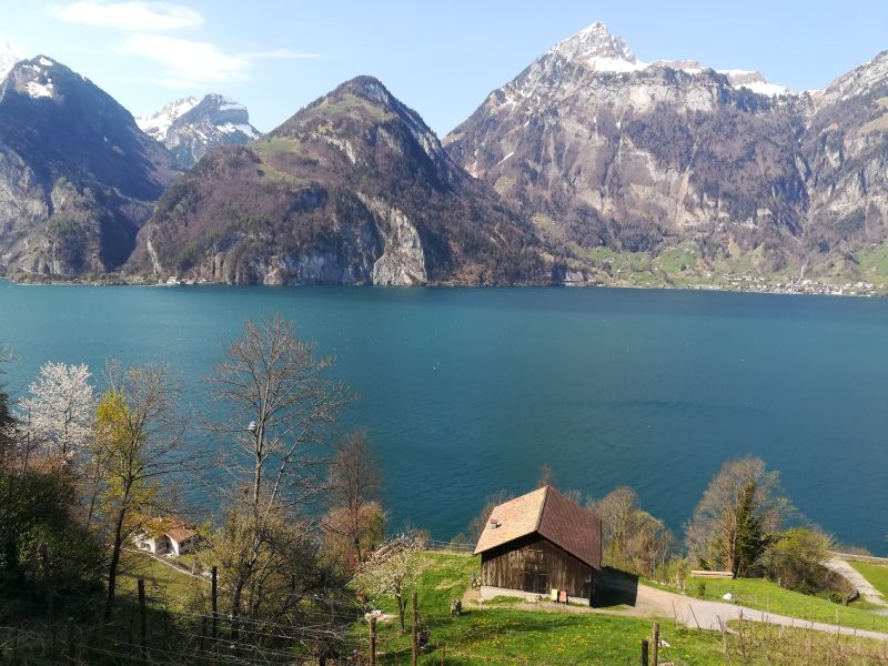 Schweiz Vierwaldstättersee Tellsplatte