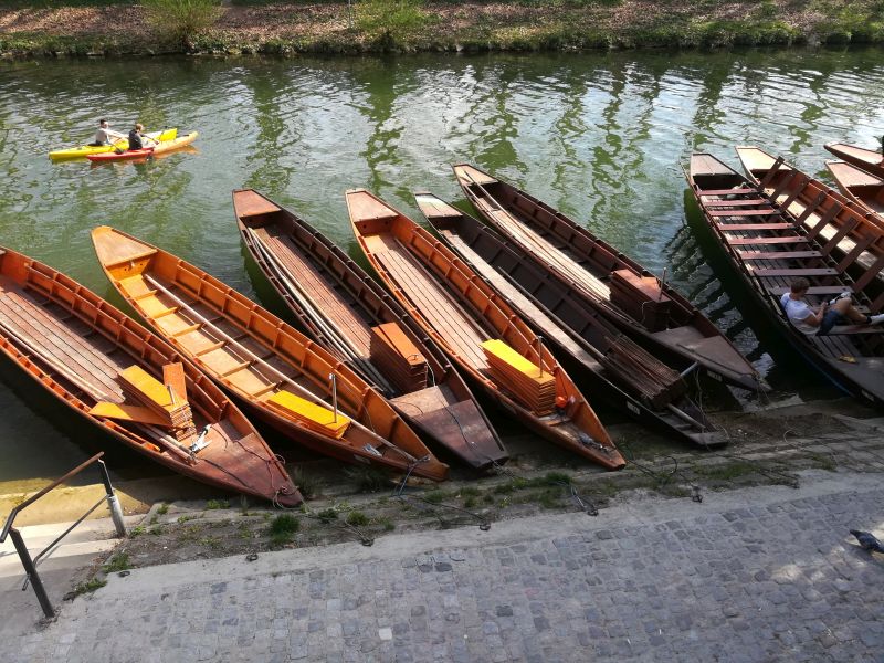Tübingen Stocherkähne