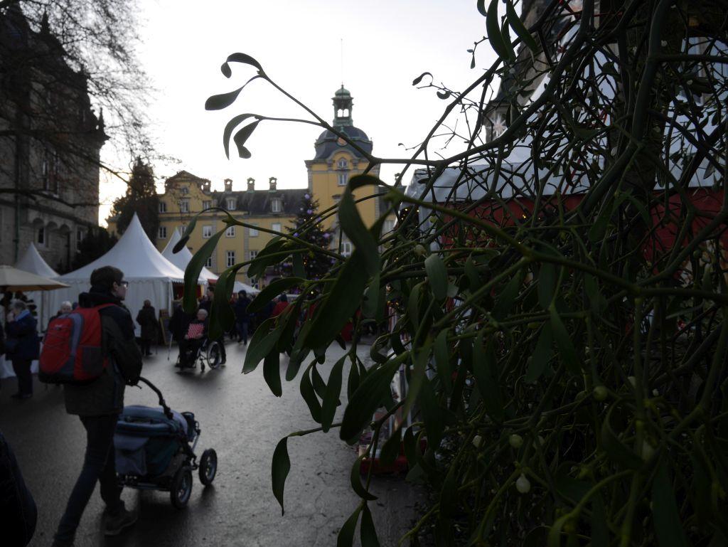 weihnachtszauber bückeburg mit kinderwagen