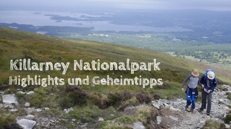 killarney nationalpark mit kindern