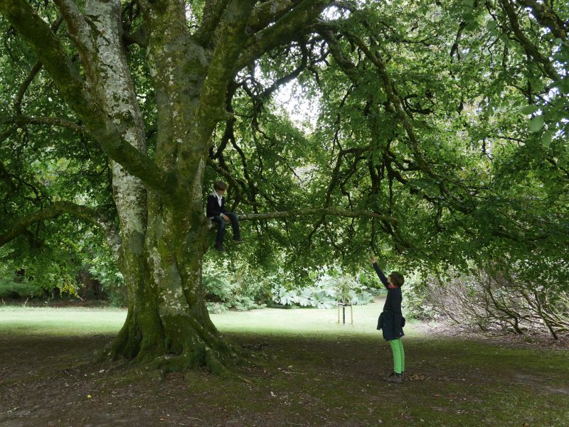 muckross gardens mit kindern