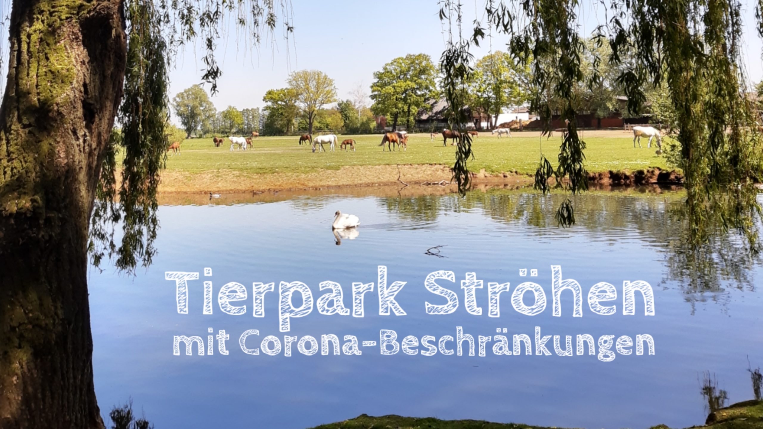 tierpark ströhen corona