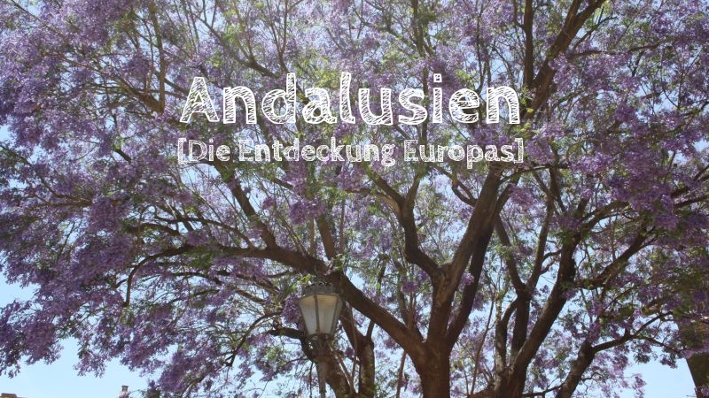 europa andalusien jacaranda bäume