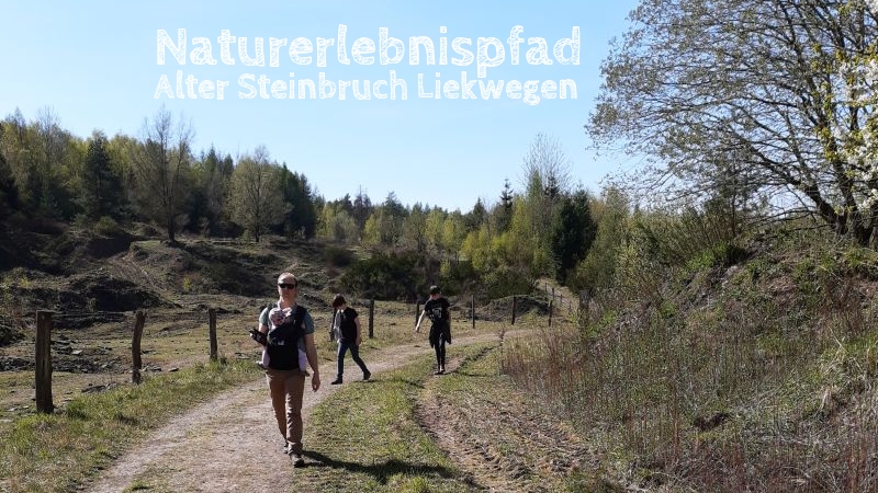 Alter Steinbruch Liekwegen Naturerlebnispfad