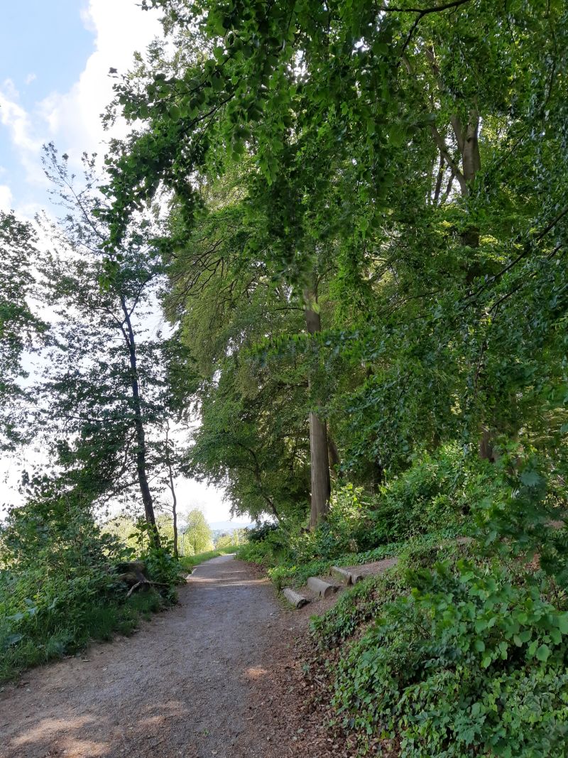 bad essen wanderwege