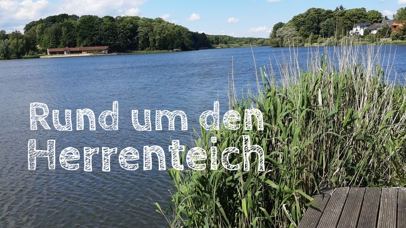 reinfeld herrenteich