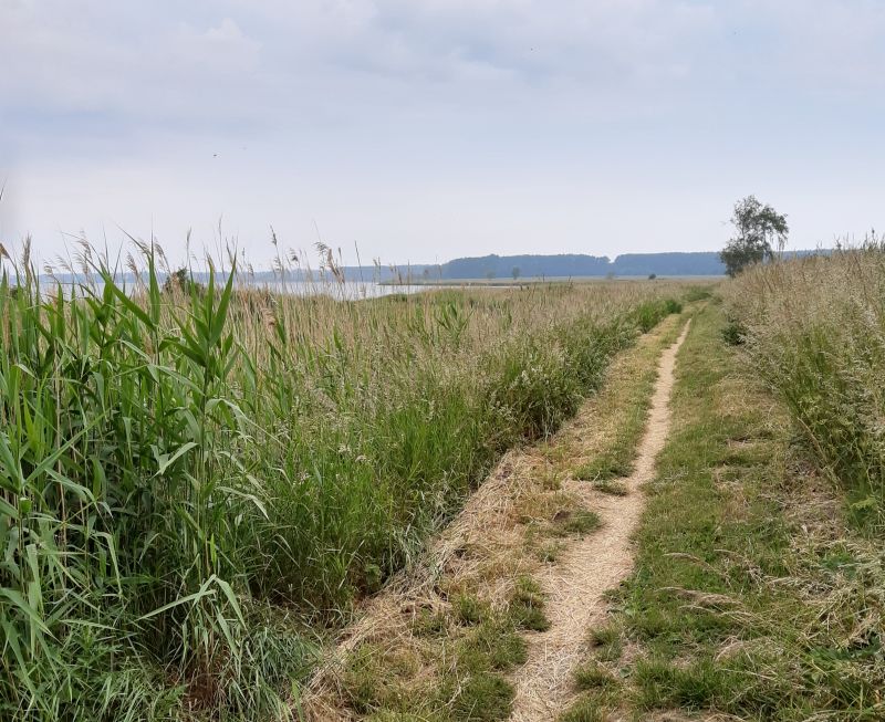 salzhaff wanderweg nach rerik