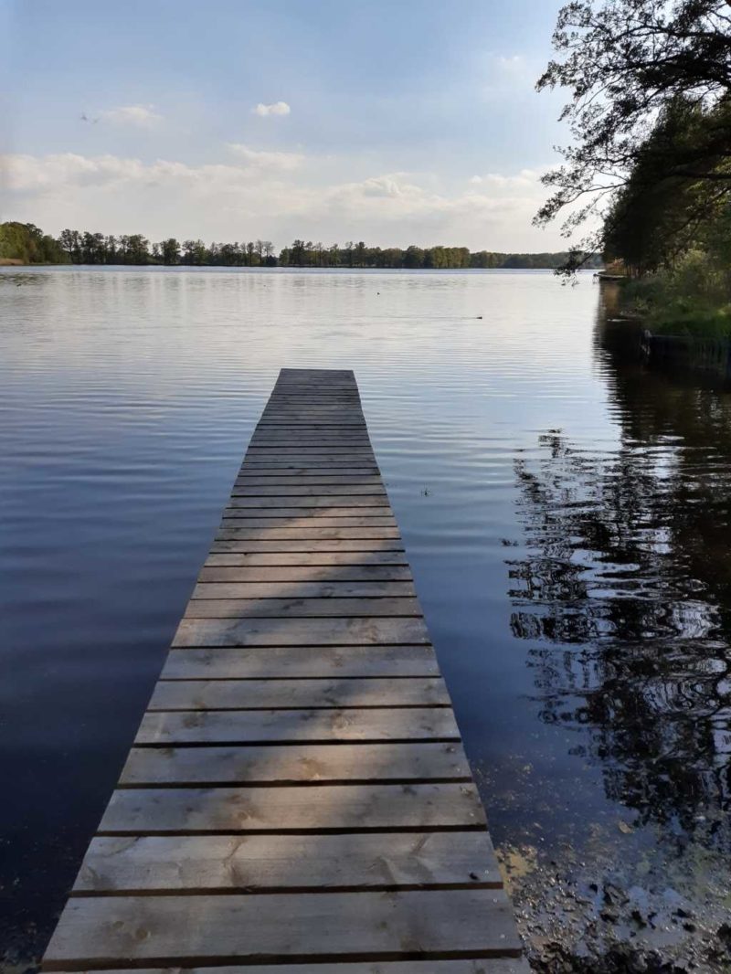 Plothener Teiche Grünes Ausflugsziel in Thüringen family4travel