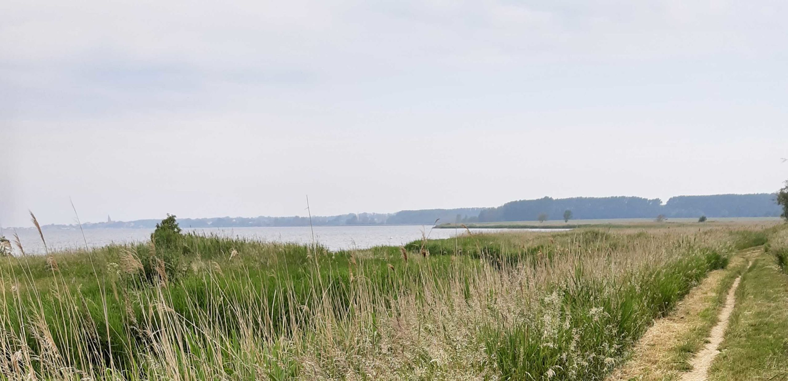 salzhaff ostsee