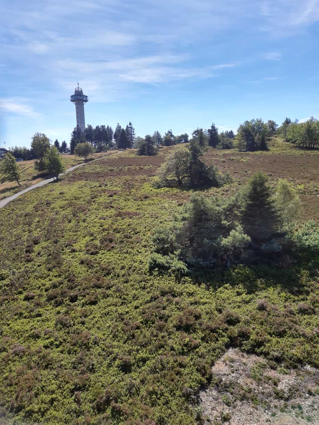 bikepark willingen mountainbike ettelsberg turm