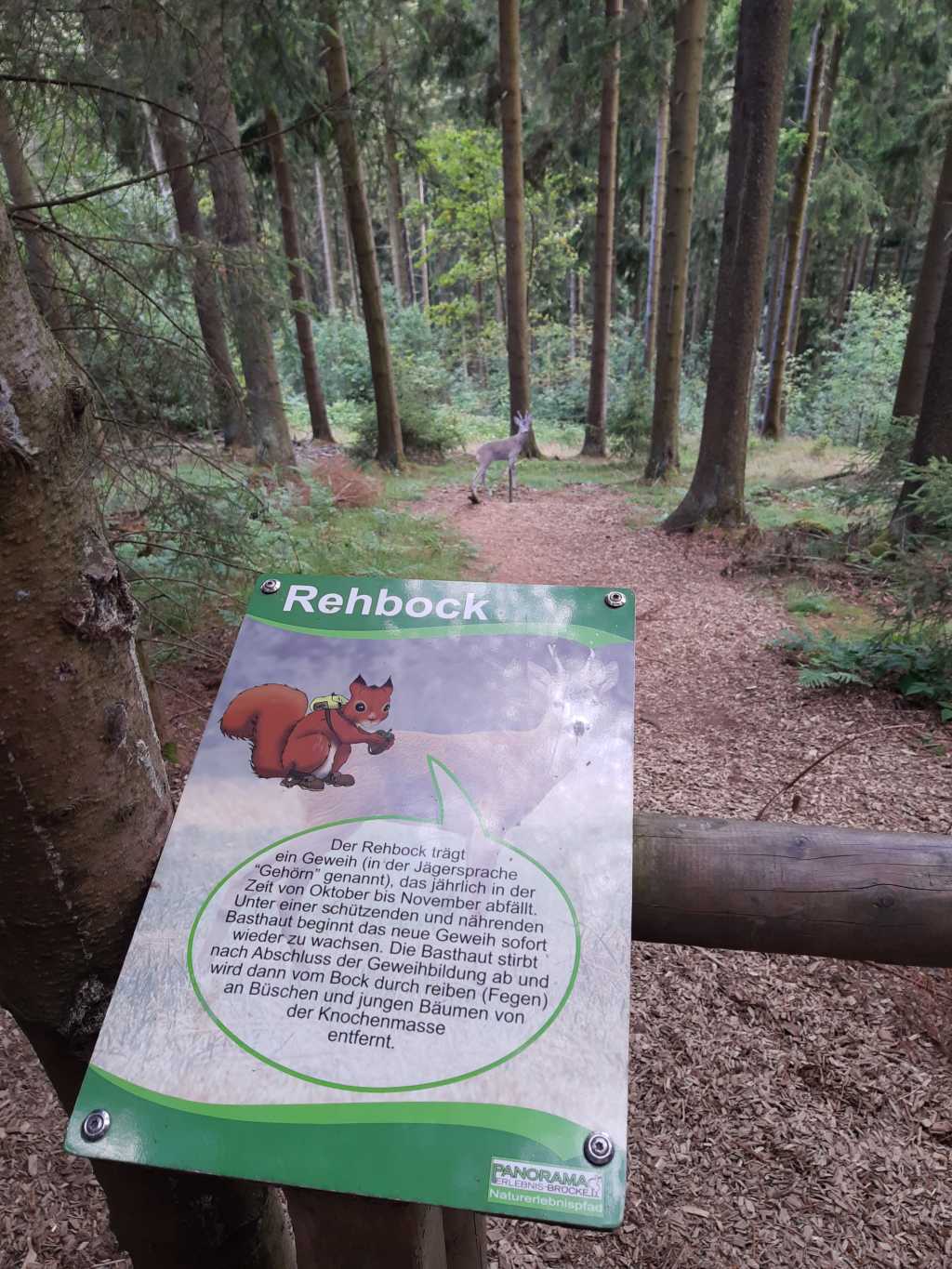 erlebnisberg kappe sauerland naturlehrpfad