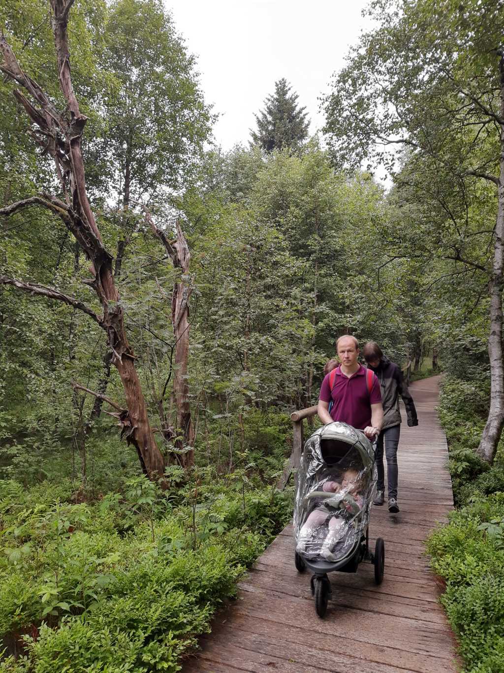 rhoen rotes moor mit kinderwagen