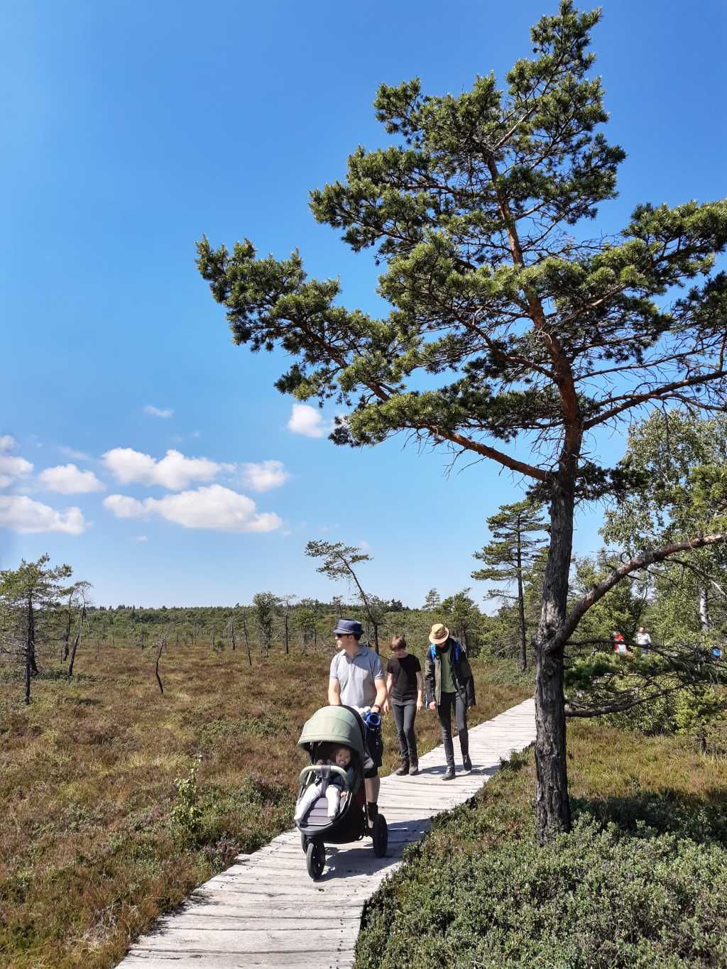 rhoen schwarzes moor wandern mit kindern