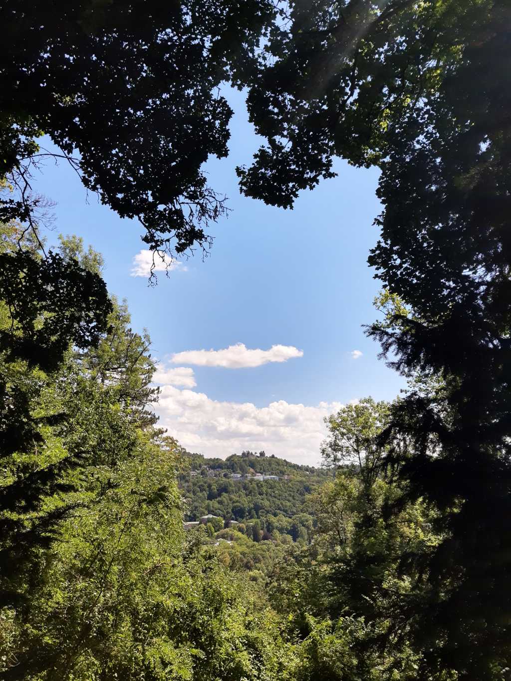 rhoen wald blauer himmel burgruine