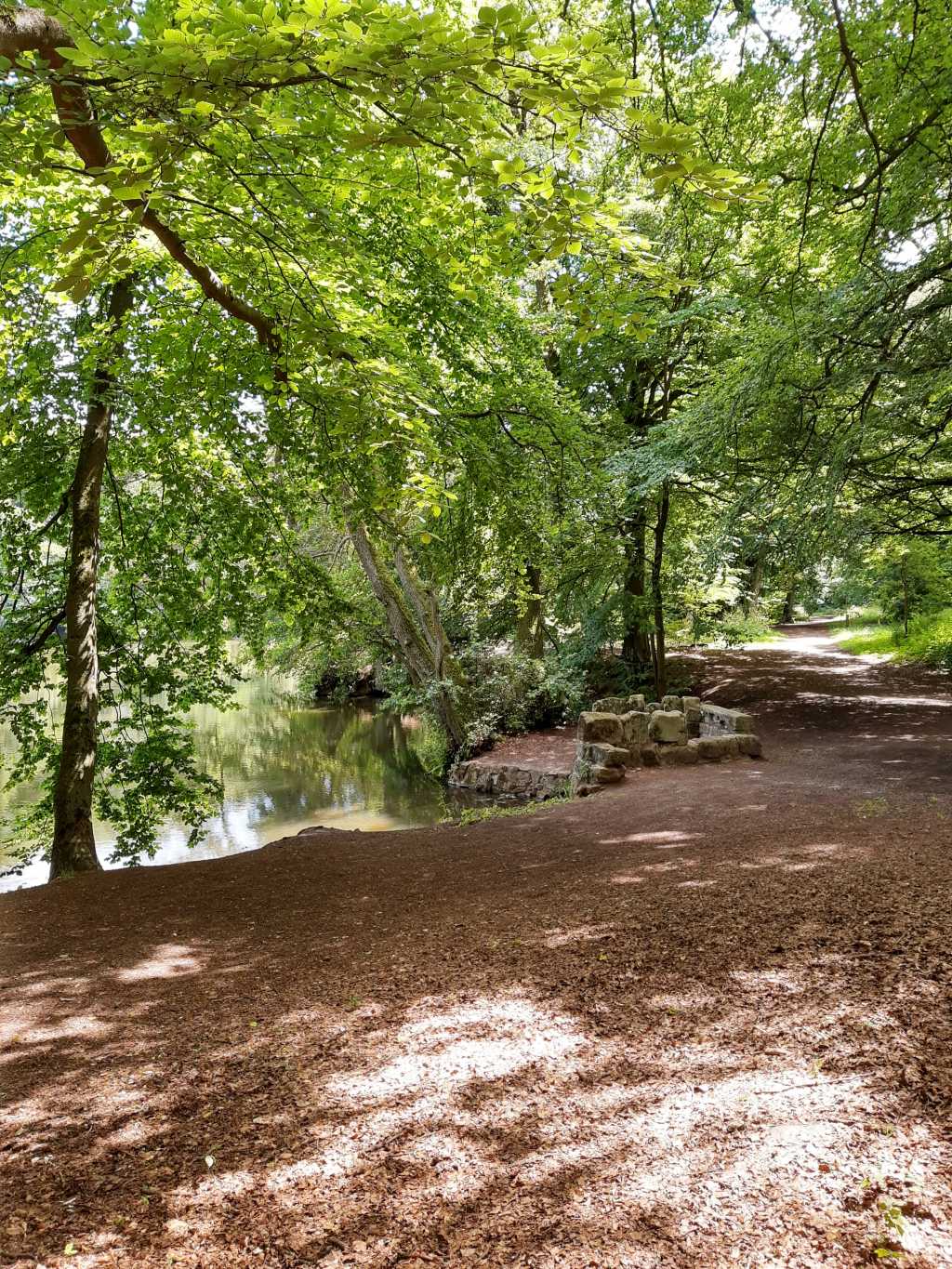 kassel wilhelmshoehe waldsee asch