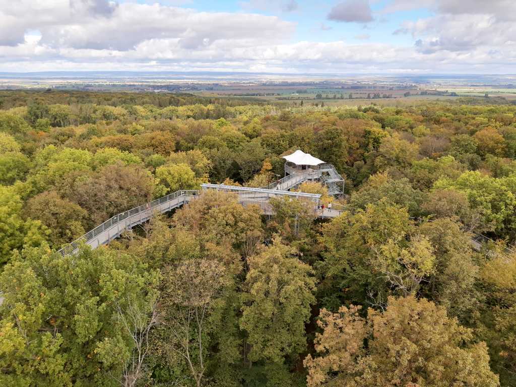 thueringen baumkronenpfad hainich aussicht vom turm