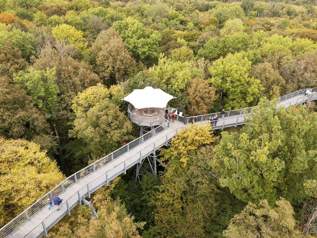 thüringen in den herbstferien, nationalpark hainich, baumwipflpfad