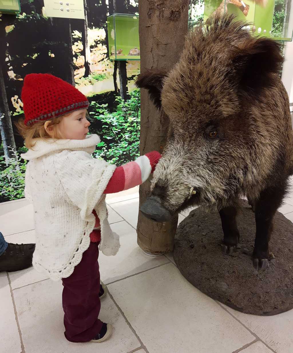 thueringen ilmenau kickelhahn waldmuseum wildschwein