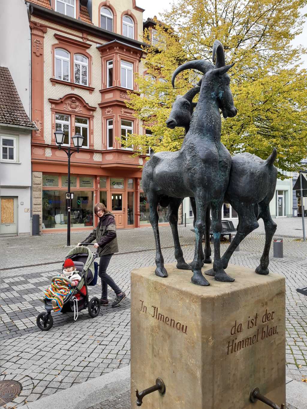 thueringen ilmenau ziegen