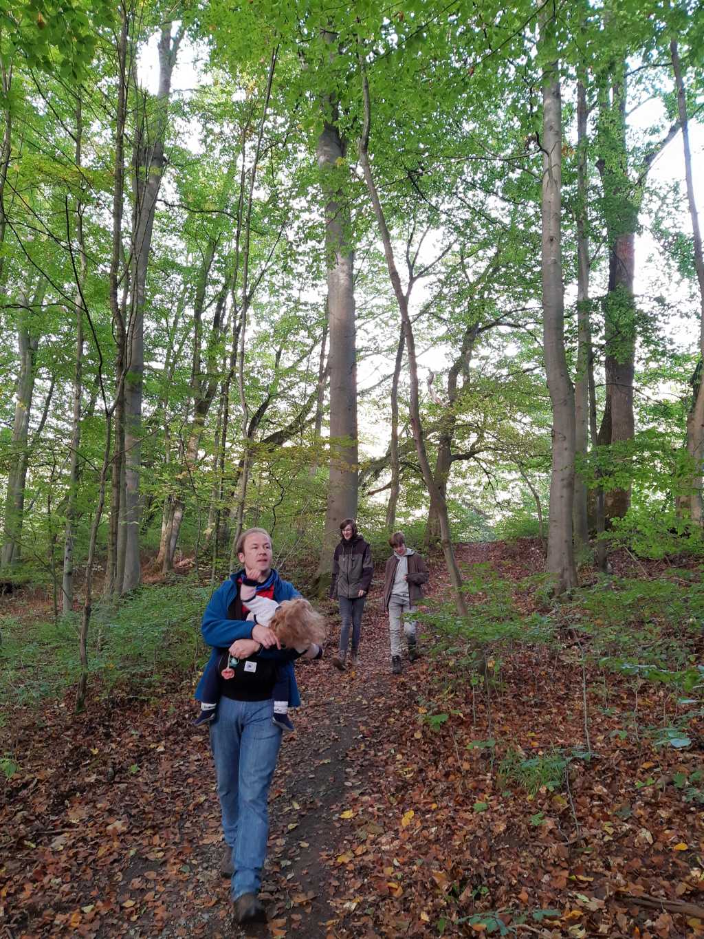 thueringen nationalpark hainich urwaldpfad mit kindern