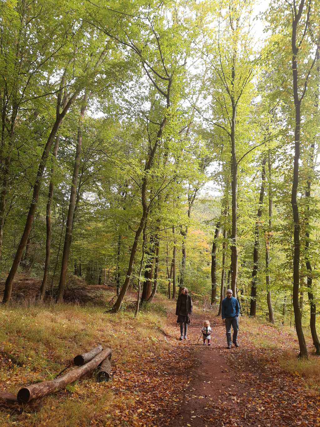 thüringen wartburg wandern mit kleinkind familie