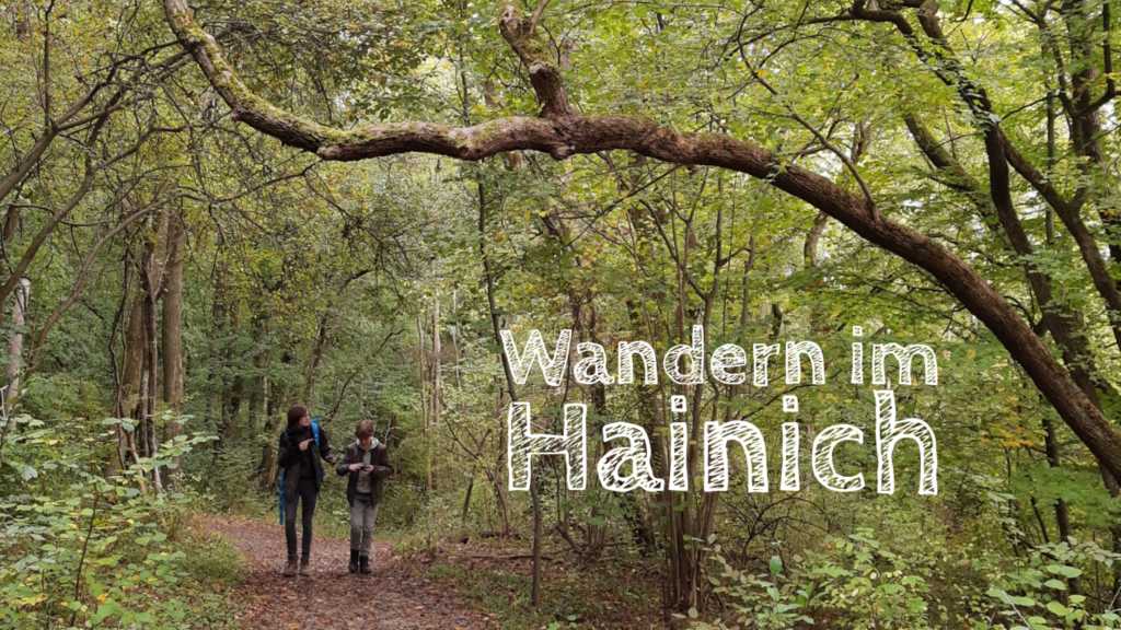 wandern mit kindern im hainich