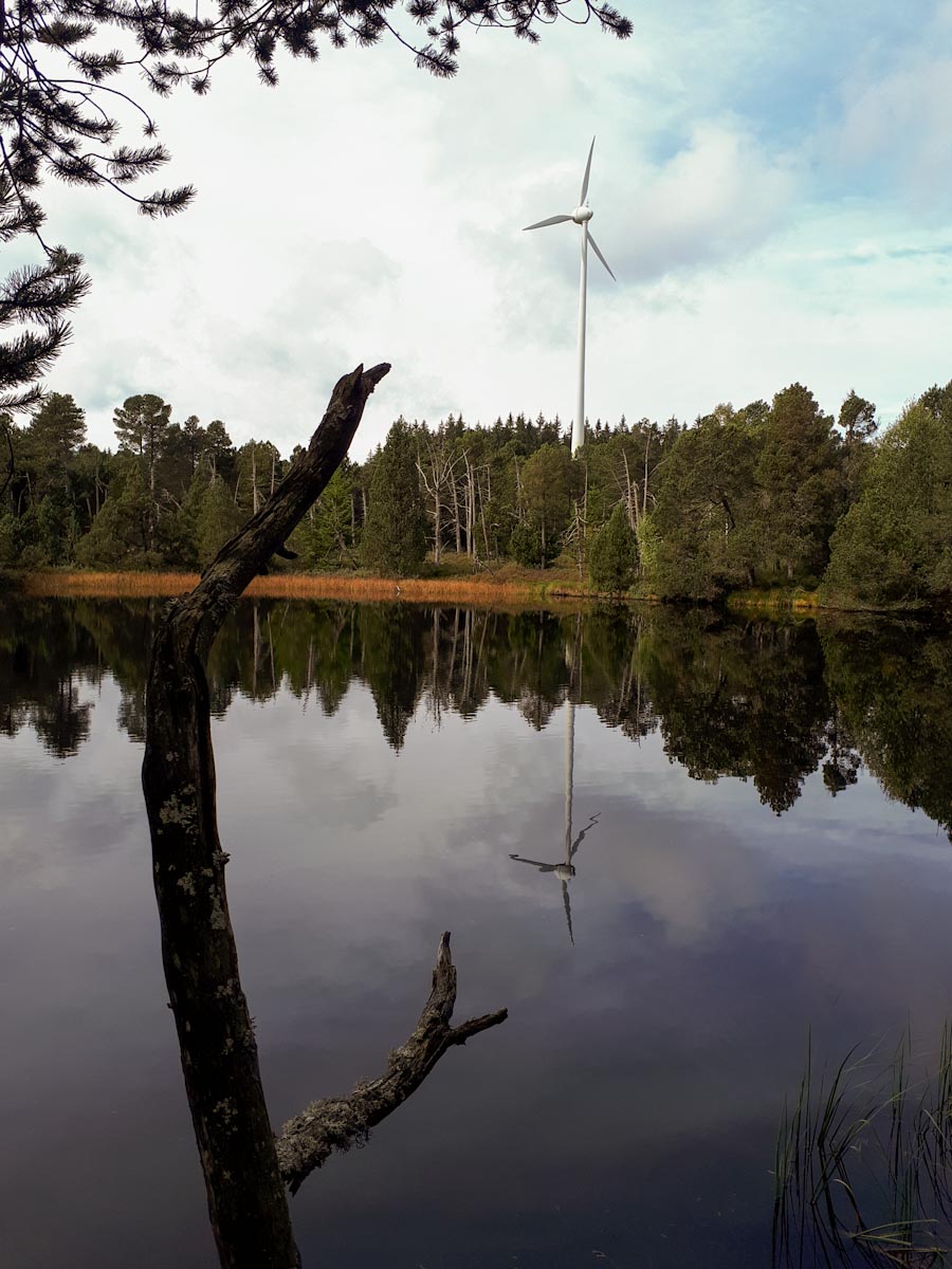 wege durchs moor blindenseemoor