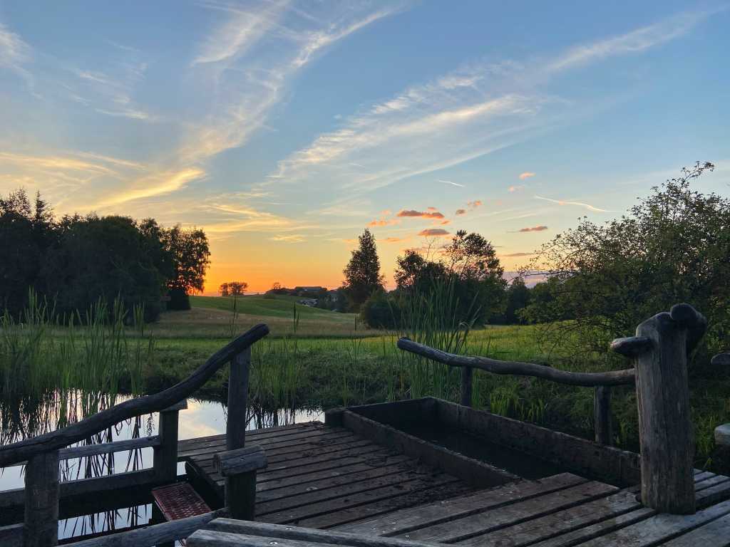 moor-roundup wandern im moor bad kohlgrub 