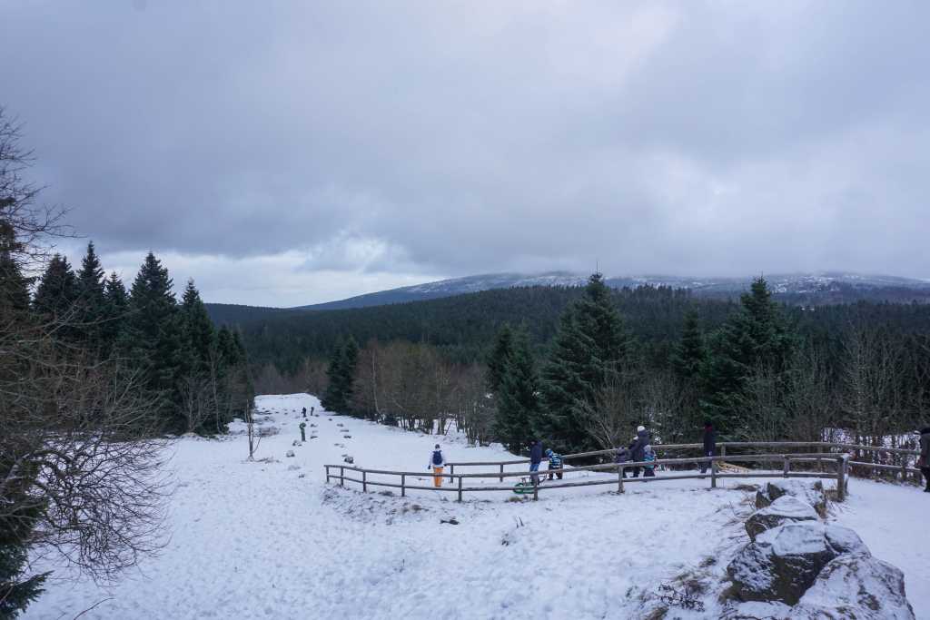 moor im schnee torfhausmoor