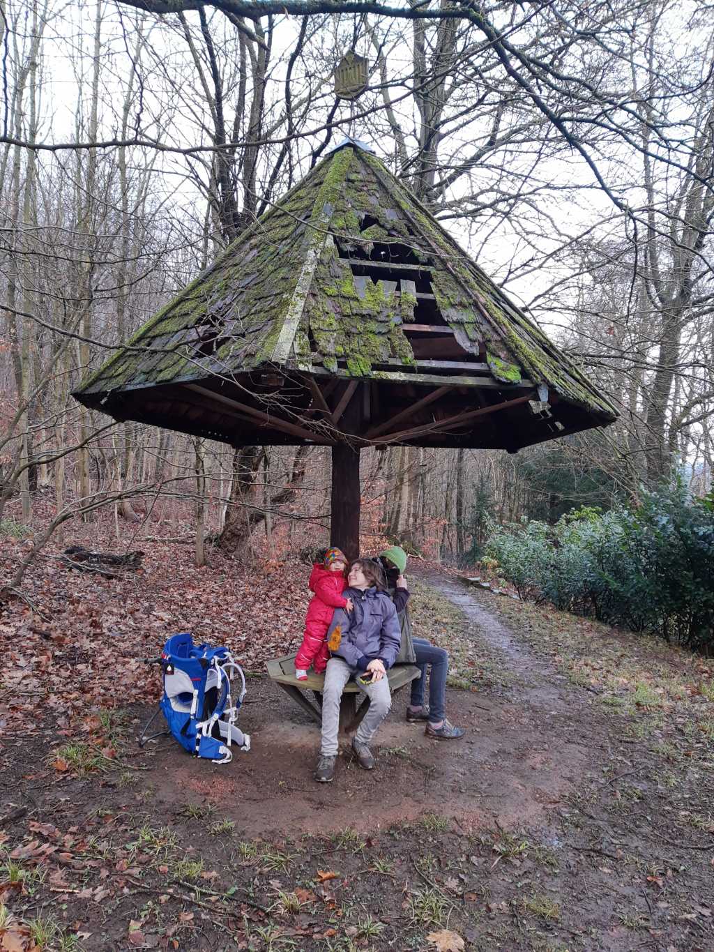 wandern in schaumburg mit kindern harrl