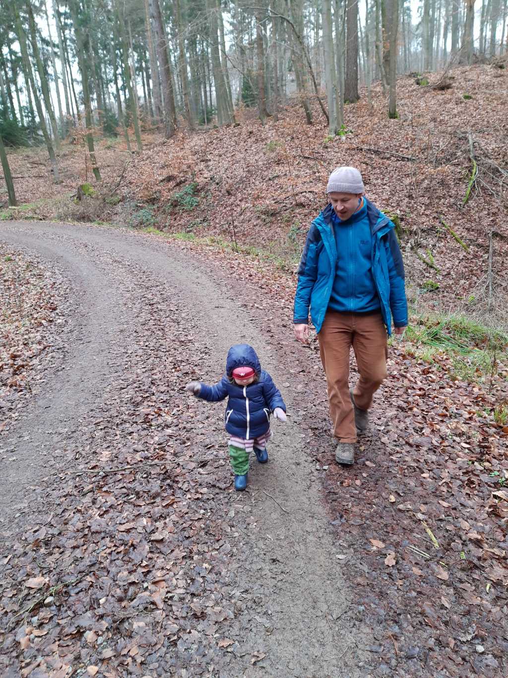 wandern in schaumburg unterer bueckeberg