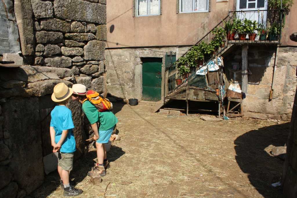 arouca dorf schweinestall