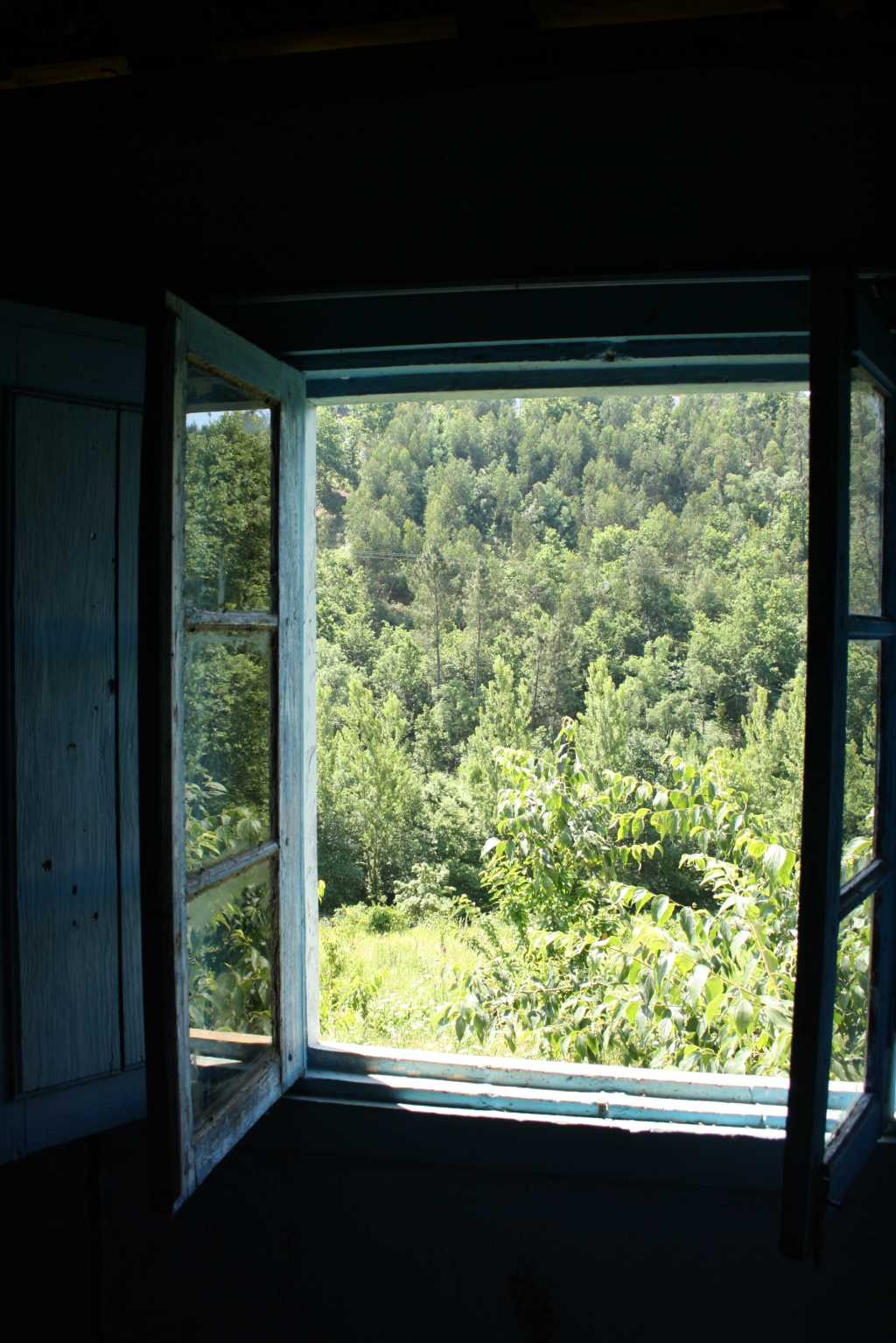 arouca farm fenster