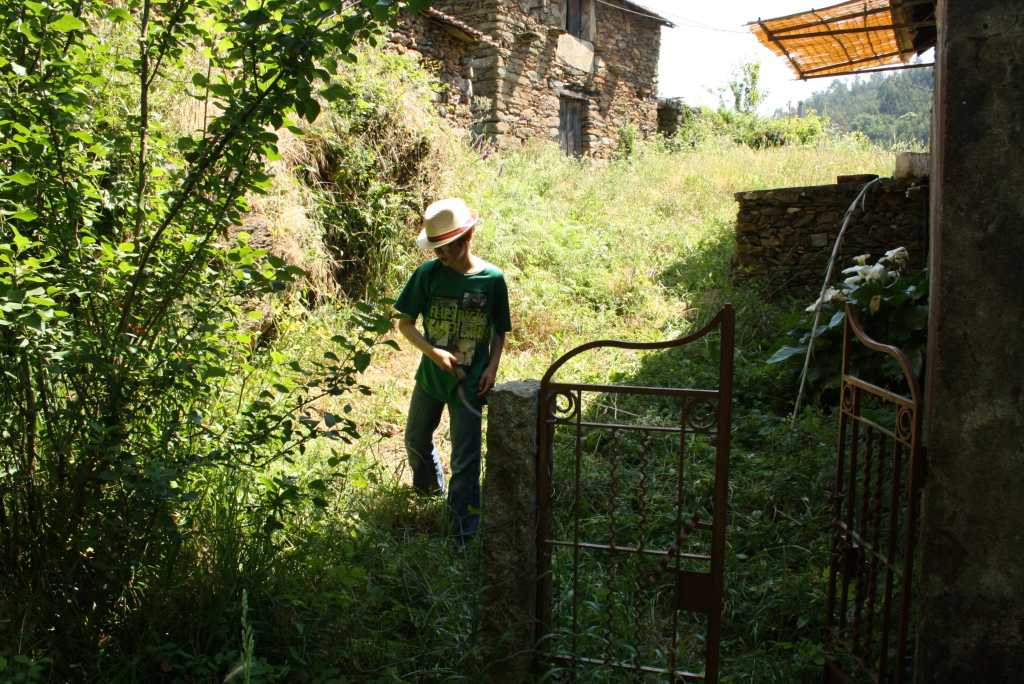 arouca farm tor