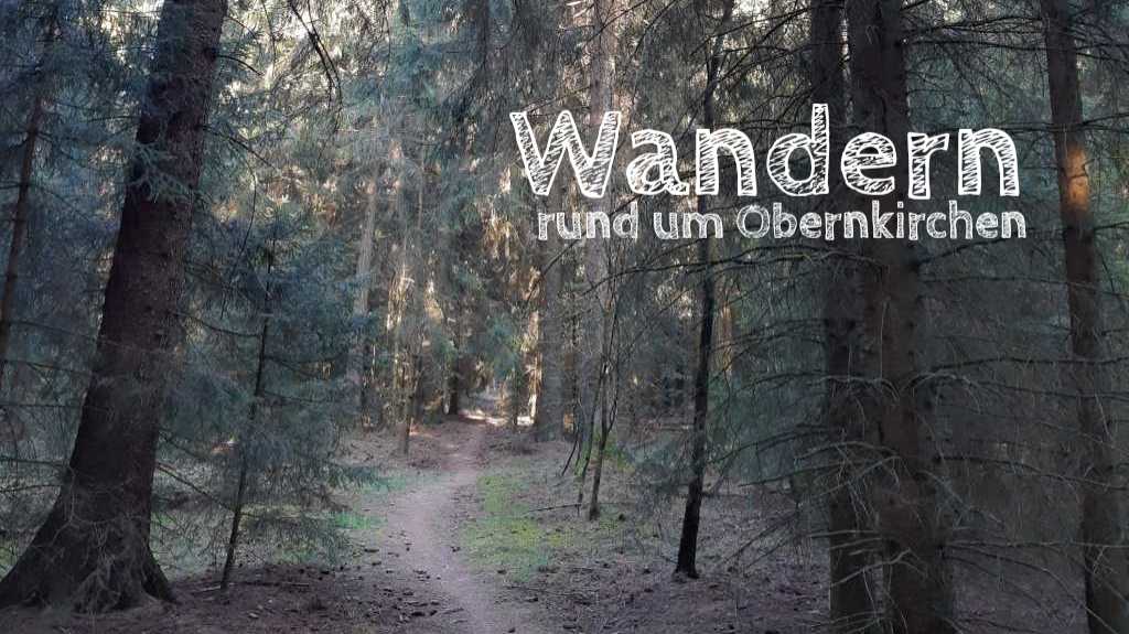 wandern in obernkirchen bückeberg