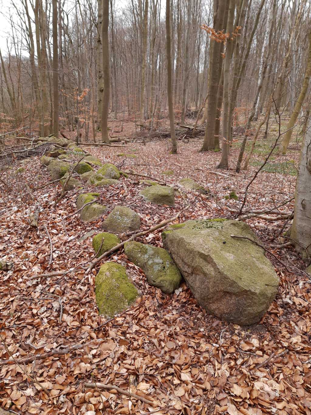 lenorenwald lindwurm