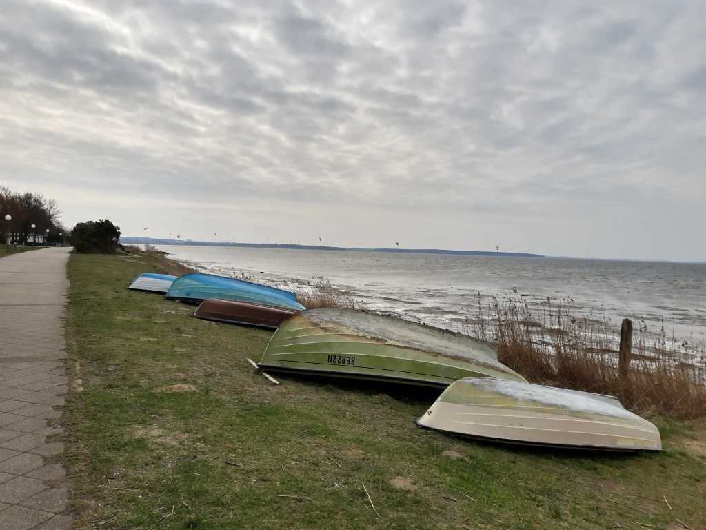rerik salzhaff boote