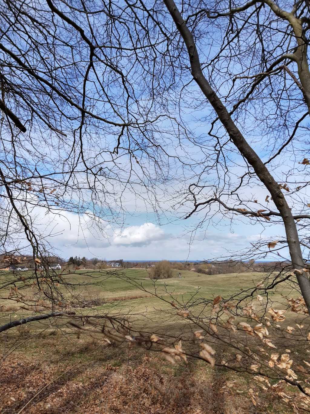 ostsee lockdown wanderung kühlung ostseeblick