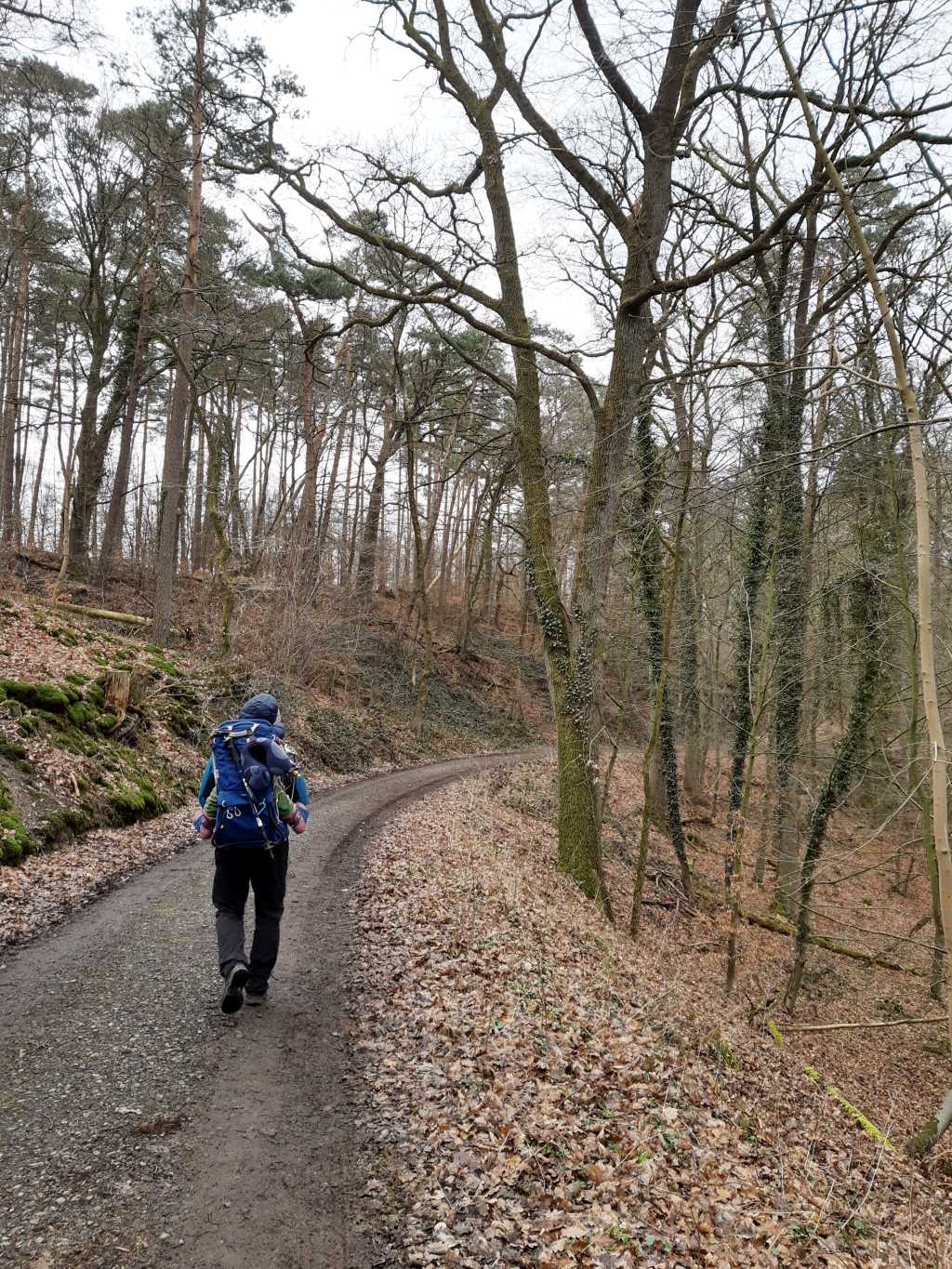 exten breiter waldweg kraxe