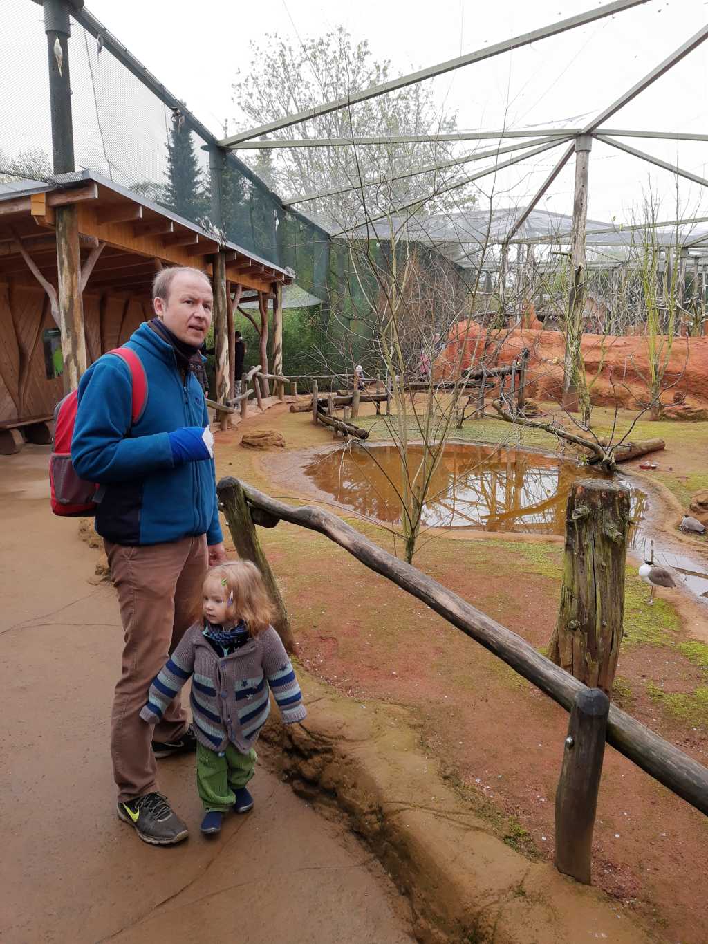 vogelpark marlow begehbare voliere
