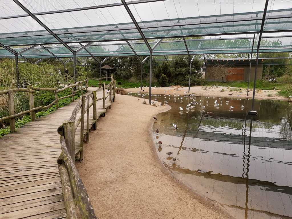 boddenlandschaft vogelpark marlow