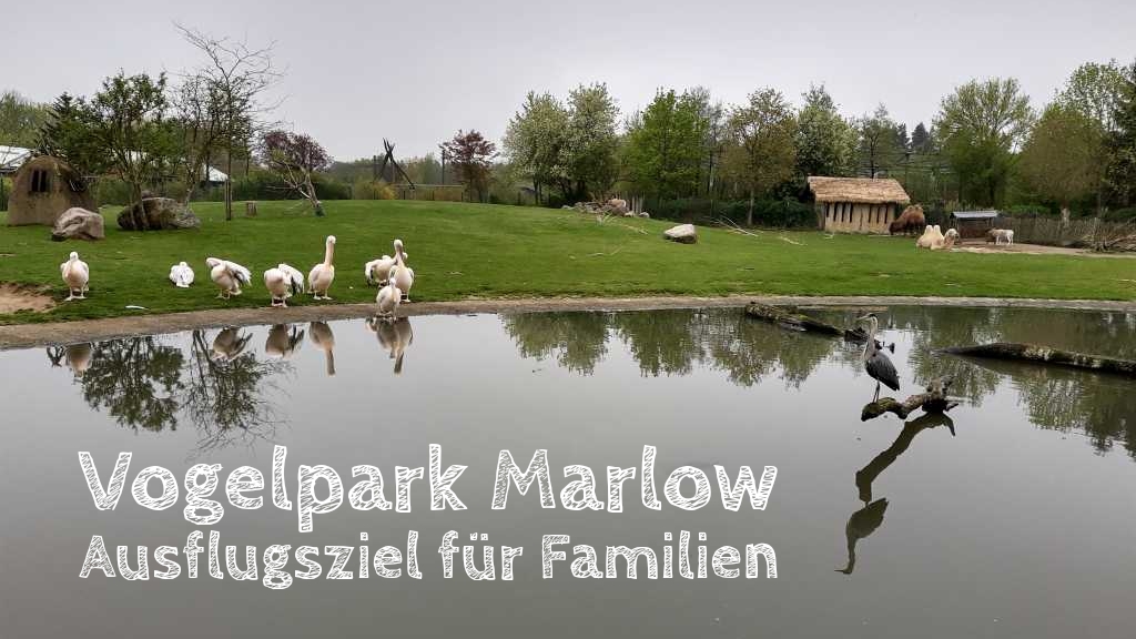 vogelpark marlow mit kleinkind