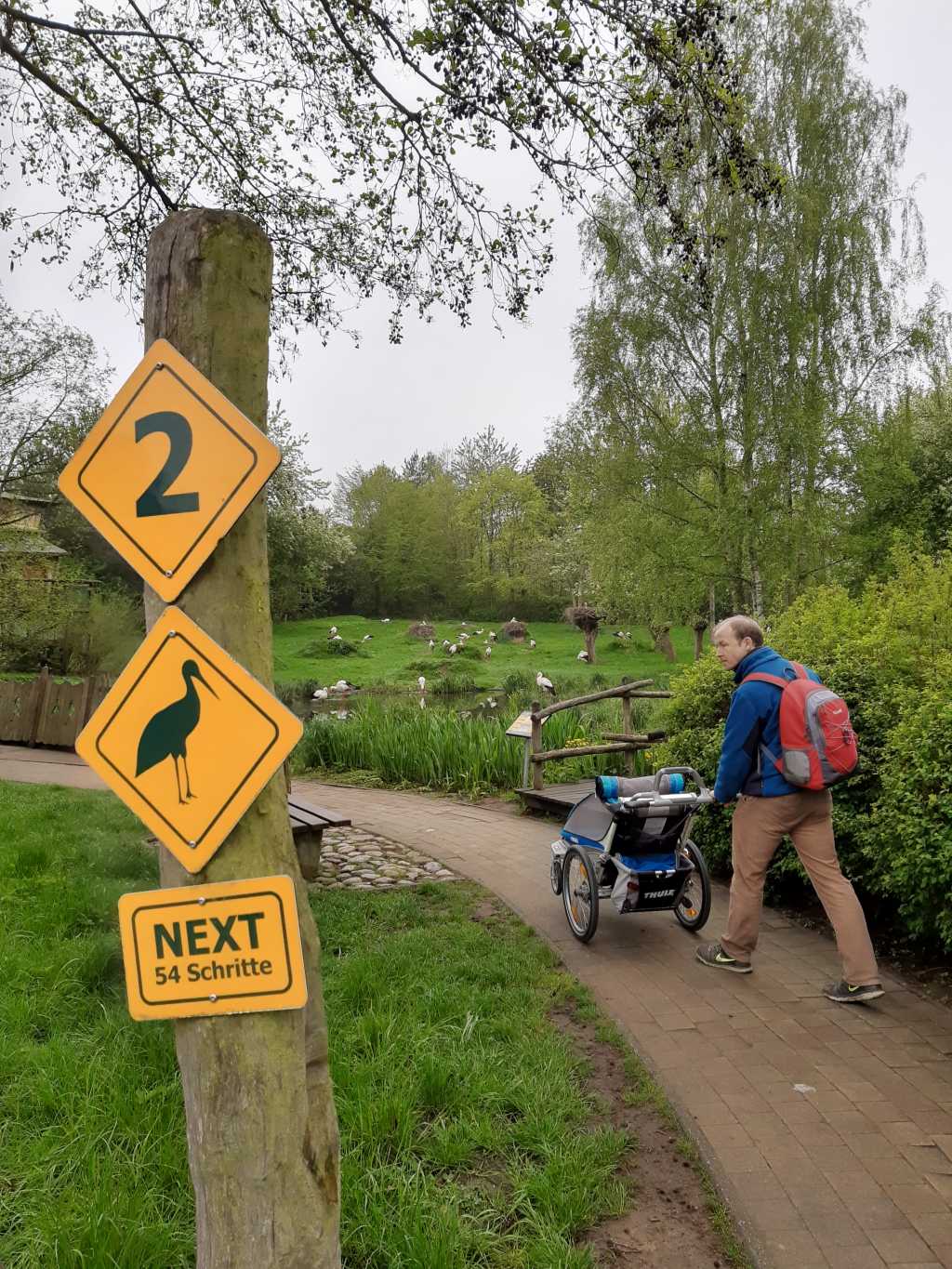 vogelpark marlow kinderwagen