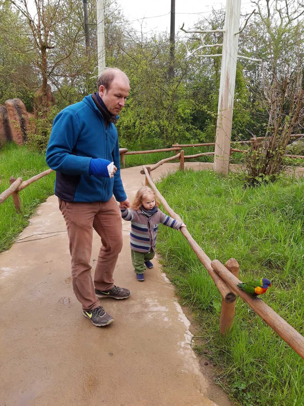 vogelpark marlow mit kleinkind lori