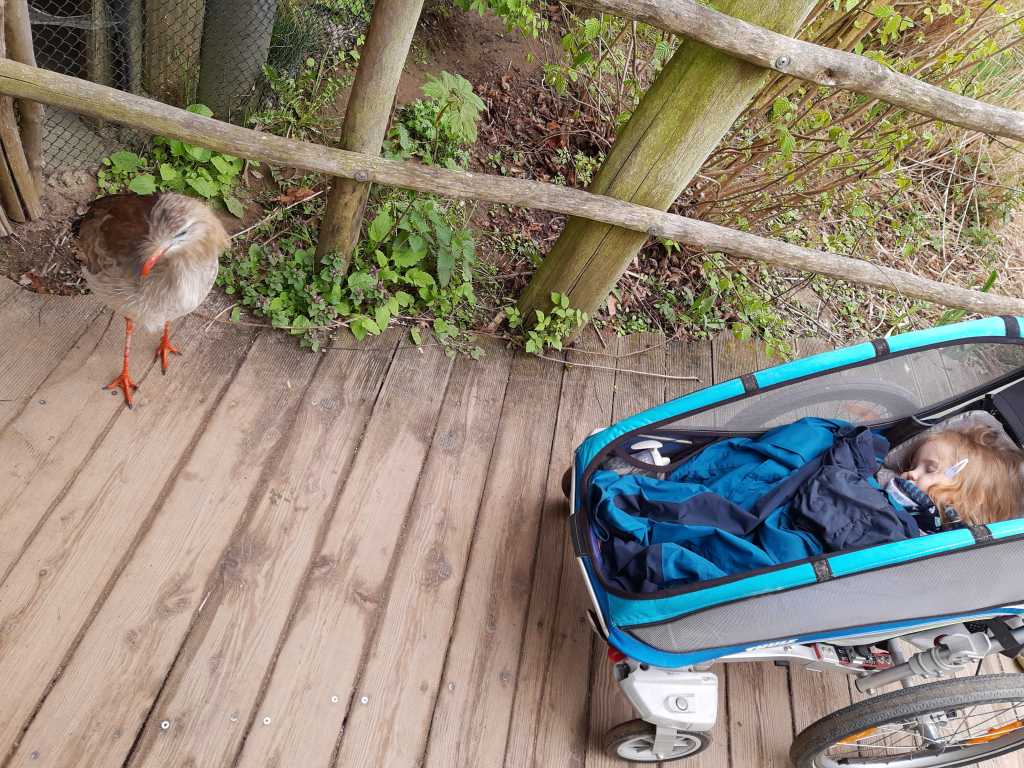 vogelpark marlow vogel ganz nah